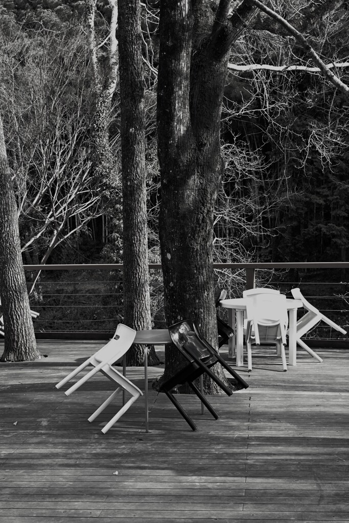 もう誰もいない　。。。！