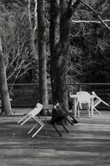 もう誰もいない　。。。！