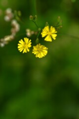 この秋を探して ⑥。。。! この秋を探して ⑥。。。!