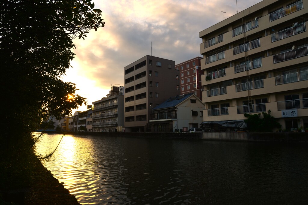 河沿いに暮れてゆく　⑤。。。！