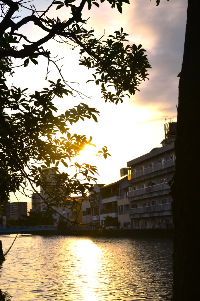 河沿いに暮れてゆく　④。。。！