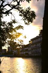 河沿いに暮れてゆく　④。。。！