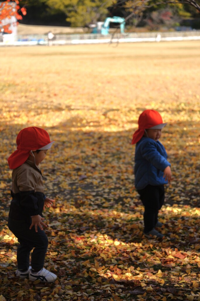 秋の日はなかよし　➂。。。！