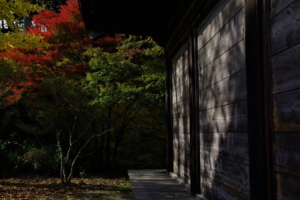 山寺の紅葉。。。！