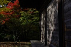 山寺の紅葉。。。！