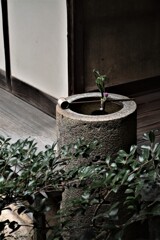 大洲．．臥龍山荘　④。。。！