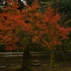 山寺に燃ゆる。。。！