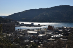 海と共に生きる　➂。。。！