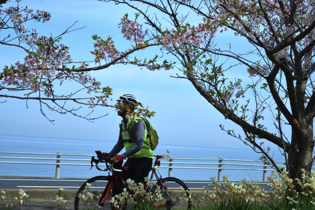 春風を友に　➂。。。！