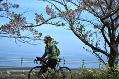 春風を友に　➂。。。！