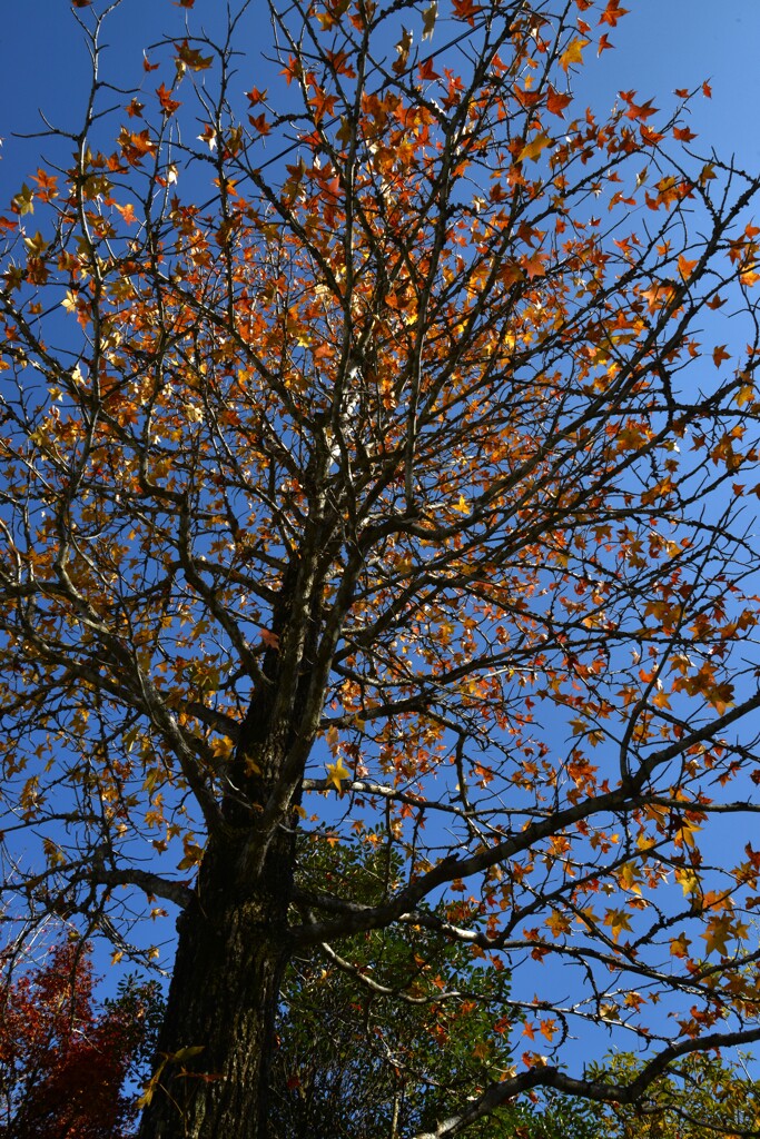 autumn gate　⑥。。。！