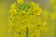 春風に乗って　➂。。。！