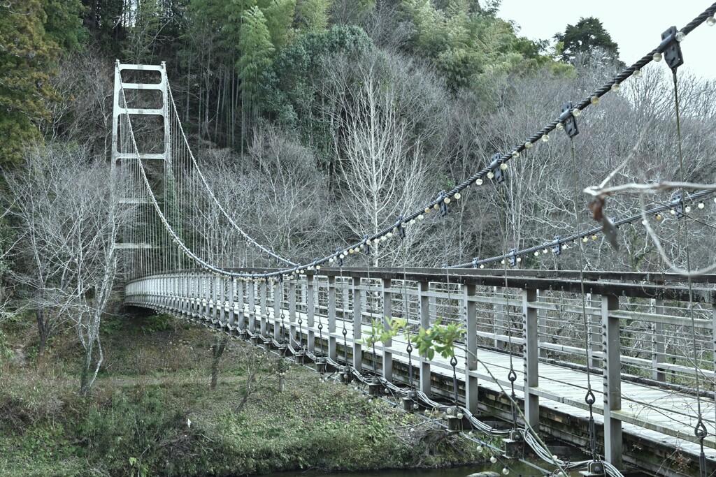 冬枯れの吊り橋　②。。。！