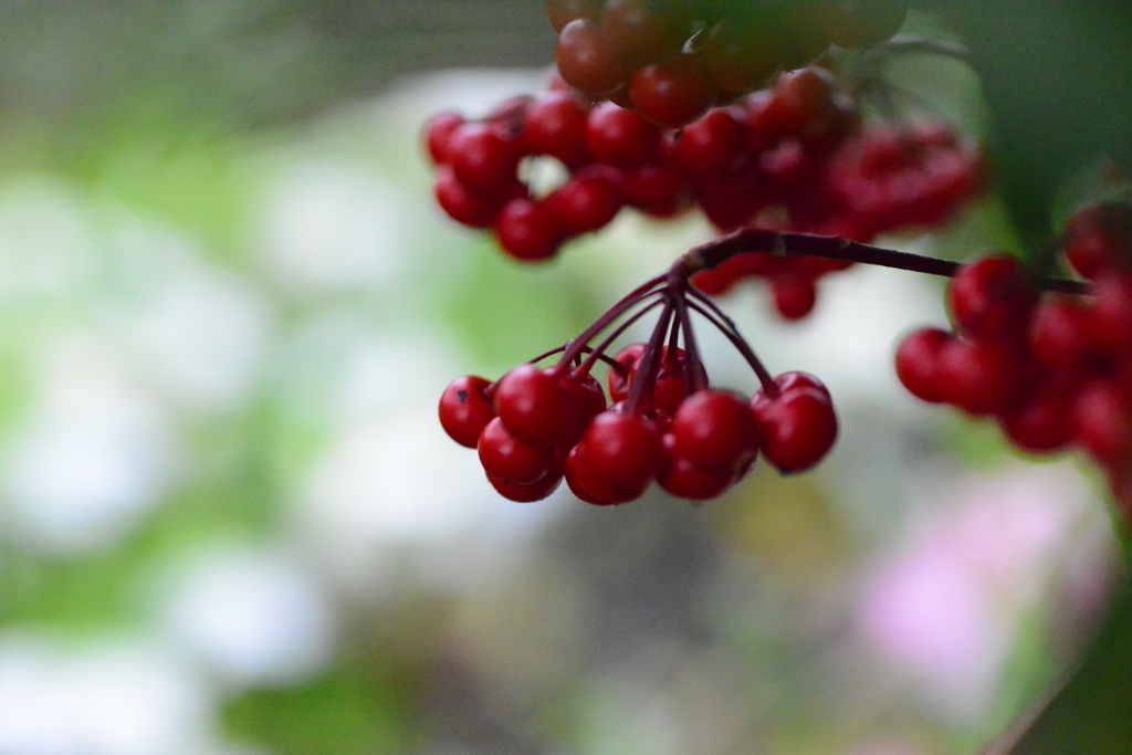 春の訪れ　①。。。！