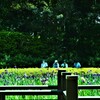 年を取っても友達同士で。。。！