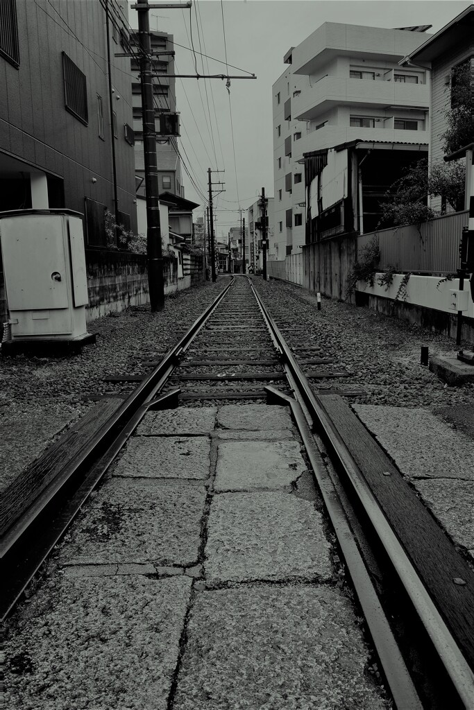 路面電車が走る道。。。！