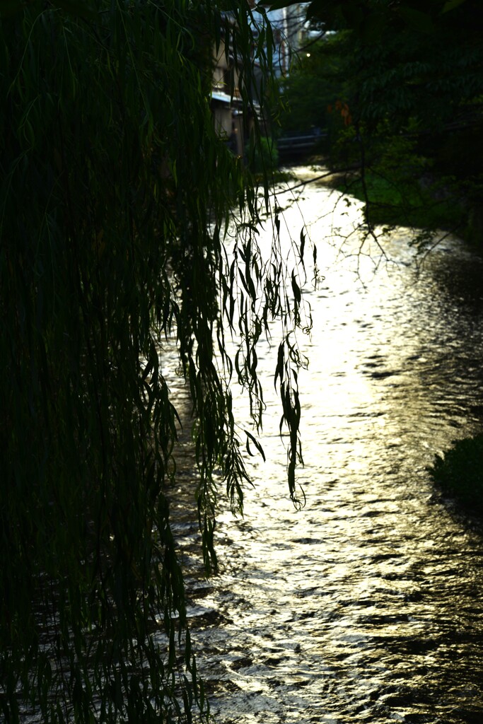 京都に酔いしれて　②。。。！