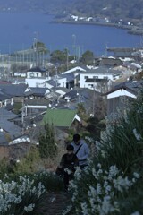 白い丘で逢いましょう　②。。。！