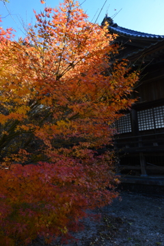 素敵な秋をありがとう　①。。。！