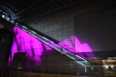 彩り。。。！