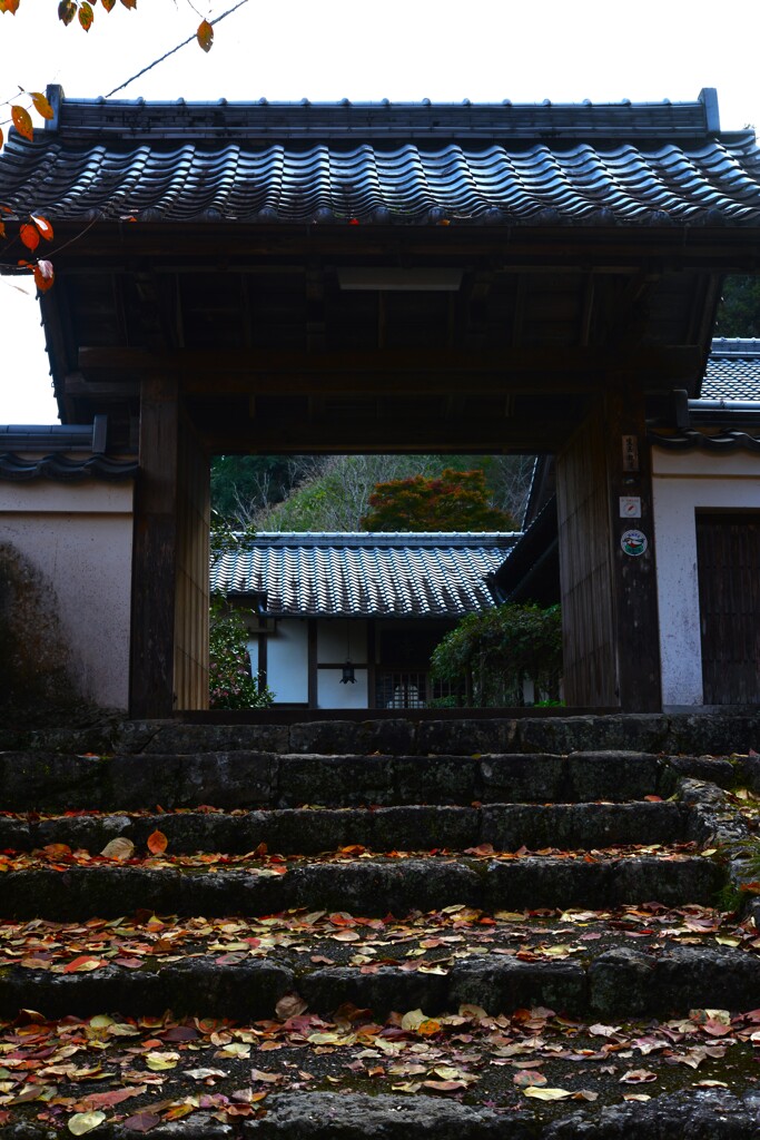 清源寺金色の石段　⑥。。。！