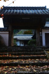 清源寺金色の石段　⑥。。。！