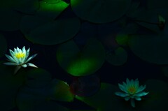 怪しく清く　➂。。。！