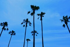 夏が来る　➂。。。！