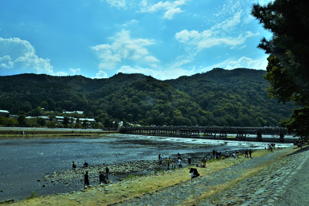 渡月橋の夏。。。！