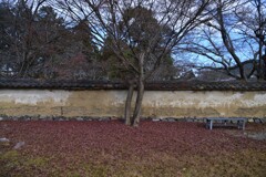 魅力の土塀沿い　①。。。！
