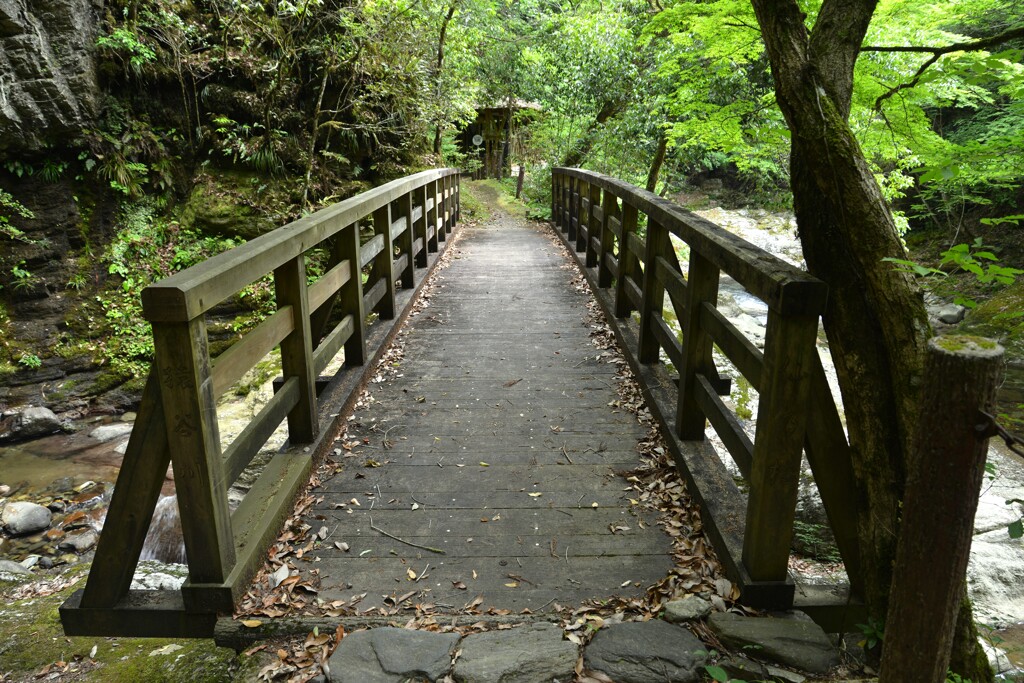渓谷の美　④。。。！