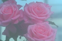 春咲き小花　⑤。。。！