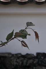 躍動と静寂　②。。。！