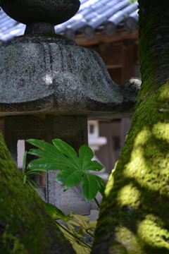 道後．．石手寺　②。。。！