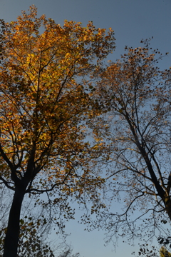 冬空の公園　２　②。。。！