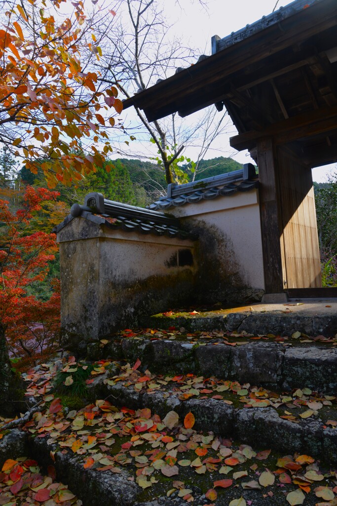 清源寺金色の石段　④。。。！