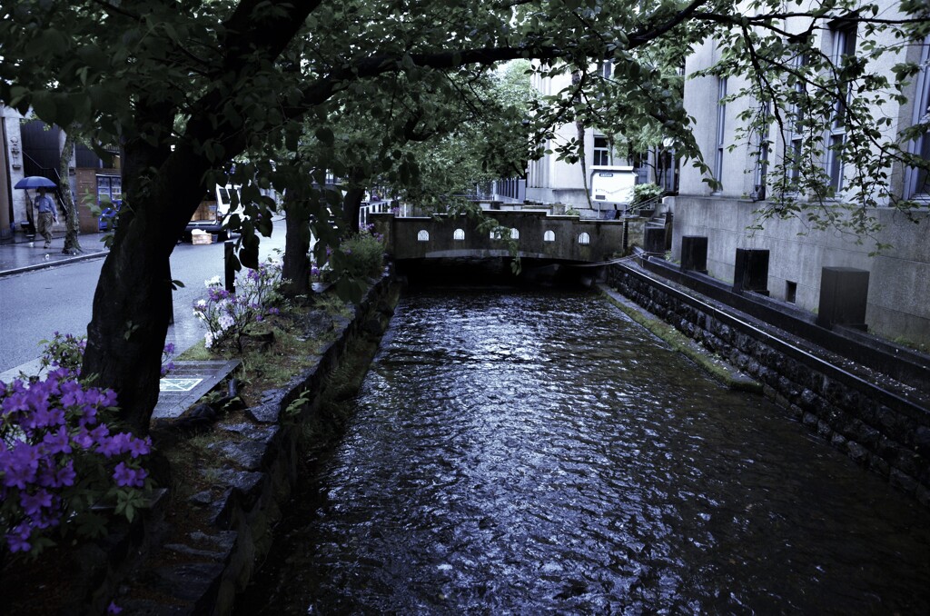 木屋町は雨模様。。。！