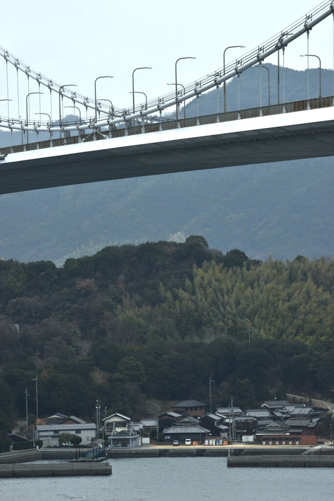 迎春の来島大橋　⑥。。。！