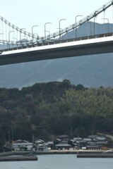 迎春の来島大橋　⑥。。。！