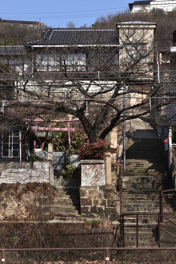 旅情　⑤。。。！