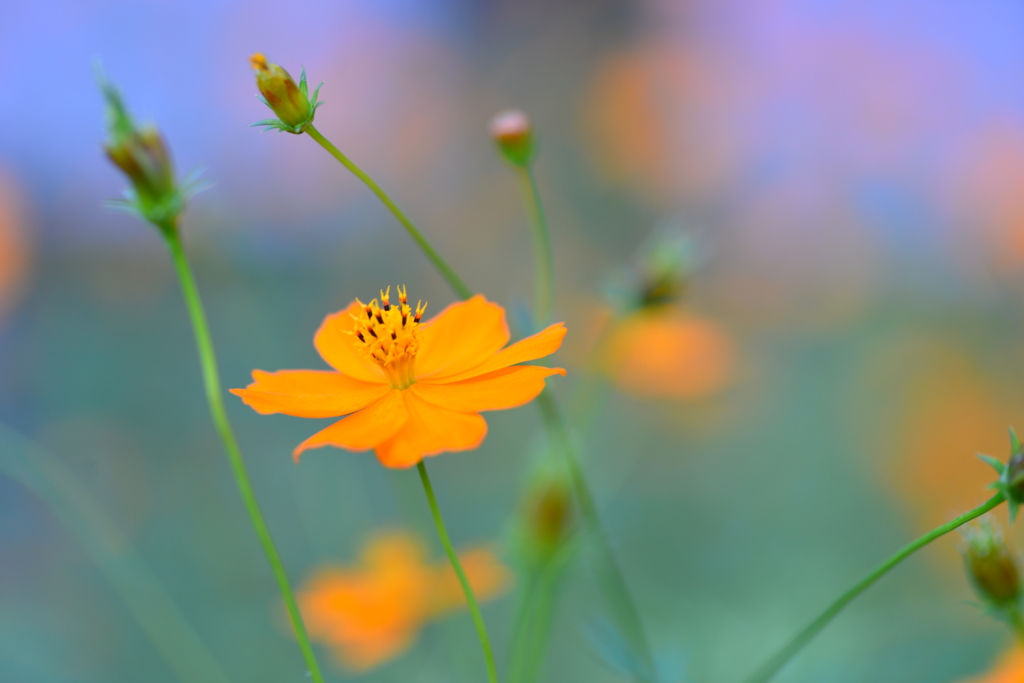 この秋をありがとう　④。。。！