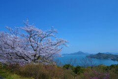 春のしまなみ海道　②。。。！