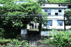 熱くひかる夏　②。。。！