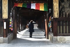 善通寺．．　②。。。！