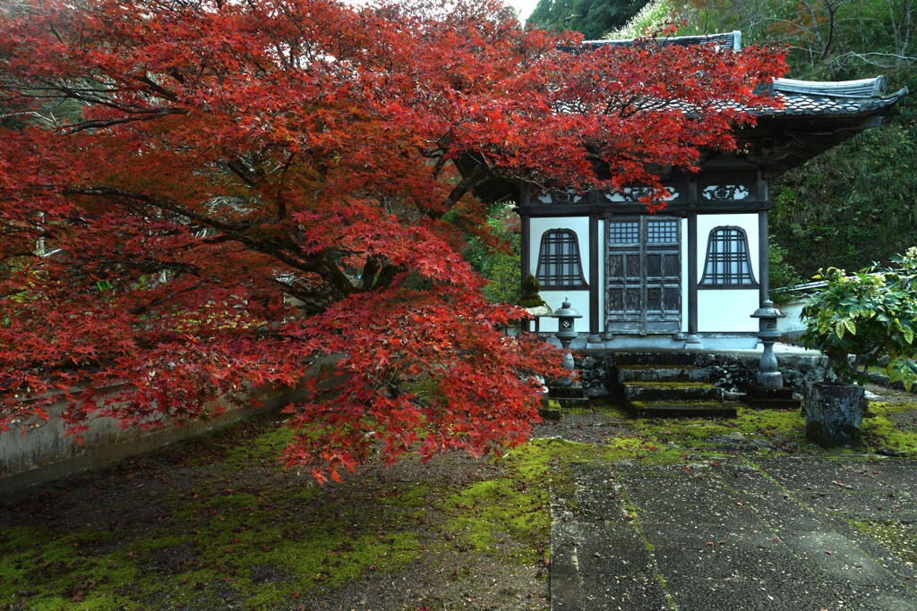 お堂と紅葉　。。。！