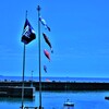 海辺の鯉のぼり。。。！