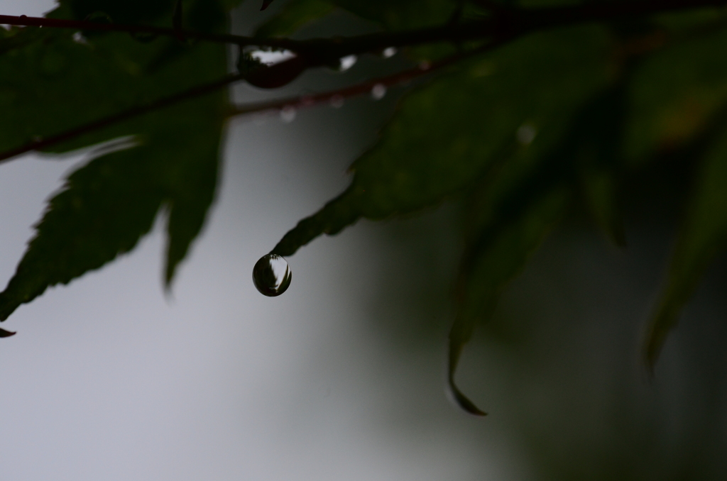 雨粒のシンフォニー　➂。。。！