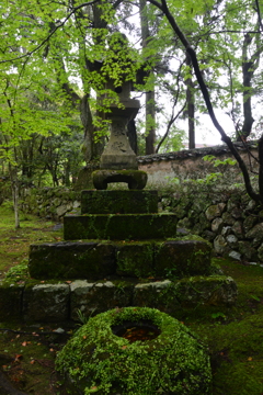 古刹．．時に苔むす　➁。。。！