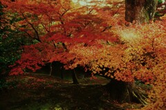 哀しみの終焉　①。。。！