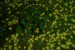 全員集合。。。！